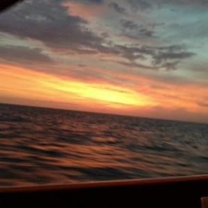 Meet your Posher, Brandi